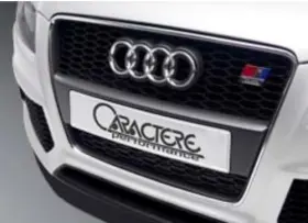 Caa5 Caractere 300 130 Original Radiator Grille For Audi A5 8t /a5 Cabrio