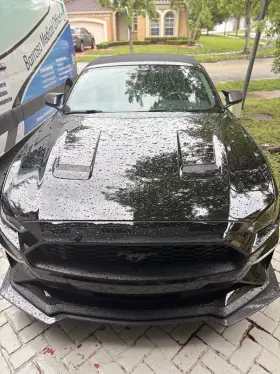 Bap11660 Hecasa For 18-23 Ford Mustang Carbon Look Gt-style Front Bumper Body Kit Splitter Lip