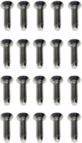 45998 Motormite Stainless Steel Door Hinge Screws