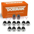 Dorman 924-327 Body Mount Set For F8VZ5400155ZZ 6W1Z5C155AA 6W1Z5400396B Ev New. Price: $468.54.