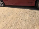 Cruze 2013 Rocker Panel Molding 963949 Used. Price: $135.00.