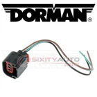 Dorman Techoice Headlight Socket 2007-2014 Ford Expedition Electrical Ou New. Price: $18.81.