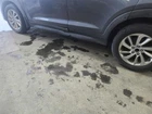 Driver Side Tucson 2016 Rocker Panel Moulding 677896 Used. Price: $223.10.