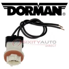 Dorman Techoice Back Up Light Socket For 2002 Lincoln Navigator Electrical Hs New. Price: $26.94.