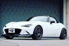 Greddy Front Lip Spoiler For 2016 Mazda Miata Nd Stylish Aerodynamic New. Price: $301.99.